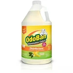 Odoban 1 Gal. Citrus Disinfectant And Odor Eliminator, Fabric Freshener. Fixed Price $18.98.