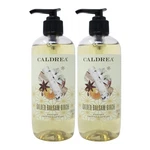 2 Pack - Caldrea Hand Soap, Gilded Balsam Birch, 10.8OZ. Fixed Price $19.99.
