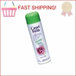 Carpet Fresh Quick-dry Foam, Morning Rain, 10.5 Oz Ounce (pack. Fixed Price $18.04.
