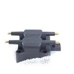Genuine Delphi GN10142-11B1 Ignition Coil. Fixed Price $30.00.