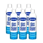 Sprayway Glass Cleaner With Foaming For 19 Fl Oz (pack Of 6), White. Fixed Price $30.66.