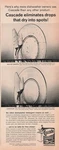 Cascade Detergent Vintage 1960S Procter Gamble Kitchen Wall Art Decor 1962. Fixed Price $10.99.