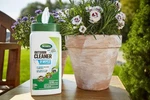 Scotts Outdoor Cleaner Plus Oxiclean Wipes Heavy Duty Lawn Rv Boat Carpet. Fixed Price $25.95.