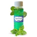Spearmint Concentrated 2.0 Fl Oz Rainbow Vacuum, Hyla, Sirena Fragrance Bottle. Fixed Price $11.87.
