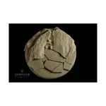 Alien Lab Northern Land Mini 100MM (round Bases) Pack New. Fixed Price $7.49.