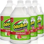Odoban 4GAL. Cucumber Melon Disinfectant, Laundry And Air Freshener (4 Pack). Fixed Price $32.99.