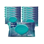 Charmin Flushable Wipes, 480 Total (12 Packs Of 40) Count (pack 12). Fixed Price $30.91.