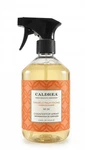 Caldrea Multi-surface Countertop Spray Cleaner, Tangelo Palm Frond Scent, 16 Oz. Fixed Price $24.22.