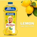 Mr. 2X Concentrated Multi Surface Cleaner With Lemon Scent, (41 Fl Oz) Us. Fixed Price $15.99.