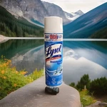 Lysol Disinfectant Spray, Sanitizing And Antibacterial For.... Fixed Price $13.99.