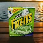 Scrubbing Bubbles Fizz-its Toilet Bowl Cleaning 10 Tablets Fresh Citrus New. Fixed Price $14.99.
