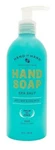 Hand Soap, Sea Salt, Sweet Mint & Eucalyptus, 10 Fl Oz. Fixed Price $11.79.