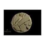 Alien Lab Northern Land Mini 60MM (round Bases) Pack New. Fixed Price $5.95.