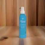 Hagerty Silversmiths Pump Spray Polish Tarnish Remover R22, 8 Ounce. Fixed Price $19.99.