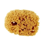 Purdy Small Sea Sponge. Fixed Price $10.10.