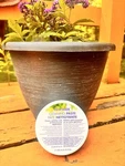 New Norwex Cleaning Paste 200 Ml / 6.76 Oz Cleanse, Polishes, Protects. Fixed Price $28.78.
