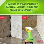 Mold Armor 32 Oz. And Mildew Killer With Quick Stain Remover. Fixed Price $13.59.