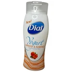 Dial Yogurt Apricot & Almond Nourishing Body Wash 16 Fl Oz With Protein Oil. Fixed Price $29.99.