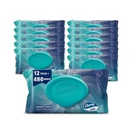 Charmin Flushable Wipes, 480 Total (12 Packs Of 40). Fixed Price $38.96.