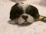 Hi-line Shih-tzu Puppy Figurine Resin Home And Garden Decor New Never Used. Fixed Price $25.00.