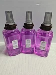 3 Brighton Professional Botanical Plum Foaming Hand Soap Refill 42.2OZ 1250ML Ne. Fixed Price $58.00.