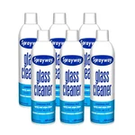 Pack Of 6 Sprayway Glass Cleaner 19 Fl Oz Streak Free Foam Formula. Fixed Price $36.24.