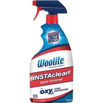 Woolite 22 Oz. Instaclean Carpet Cleaner 1742 Pack Of 6. Fixed Price $46.75.