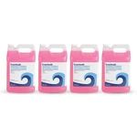 Boardwalk 4724 1 Gal Bottle Unscented Ind. Strength Glass Cleaner (4/CT) New. Fixed Price $48.71.