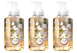 Scent Theory - Vanilla Coconut Foaming Hand Soap 11 Fl Oz. (3 Pack) D18. Fixed Price $22.95.