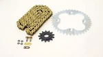 1999 2004 Honda TRX400EX Gold O-ring Chain & Silver Sprocket 14/39 96L. Fixed Price $74.75.