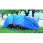 Multiple Use Tarp, 10 Ft W X 12 L, Polyethylene, Blue Ors Nasco Anchor Brand. Fixed Price $20.96.