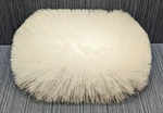 Sparta Spectrum 4004000 Tank & Kettle Brush 5-1/2" X 7-1/2" White. Fixed Price $34.99.