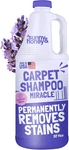 Sunny Honey Carpet Cleaner Solution Deep Stain Remover Deodorizer. Fixed Price $34.81.