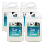 Ecos Pro PL9706/04 All Purpose Cleaner, Jug, 1 Gal, Orange, Pk. Fixed Price $65.45.